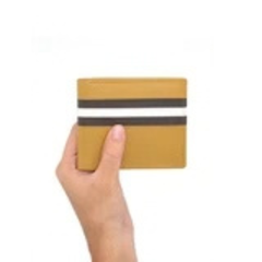 STRIDE Wallets